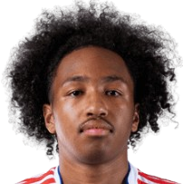 馬利克·福法納